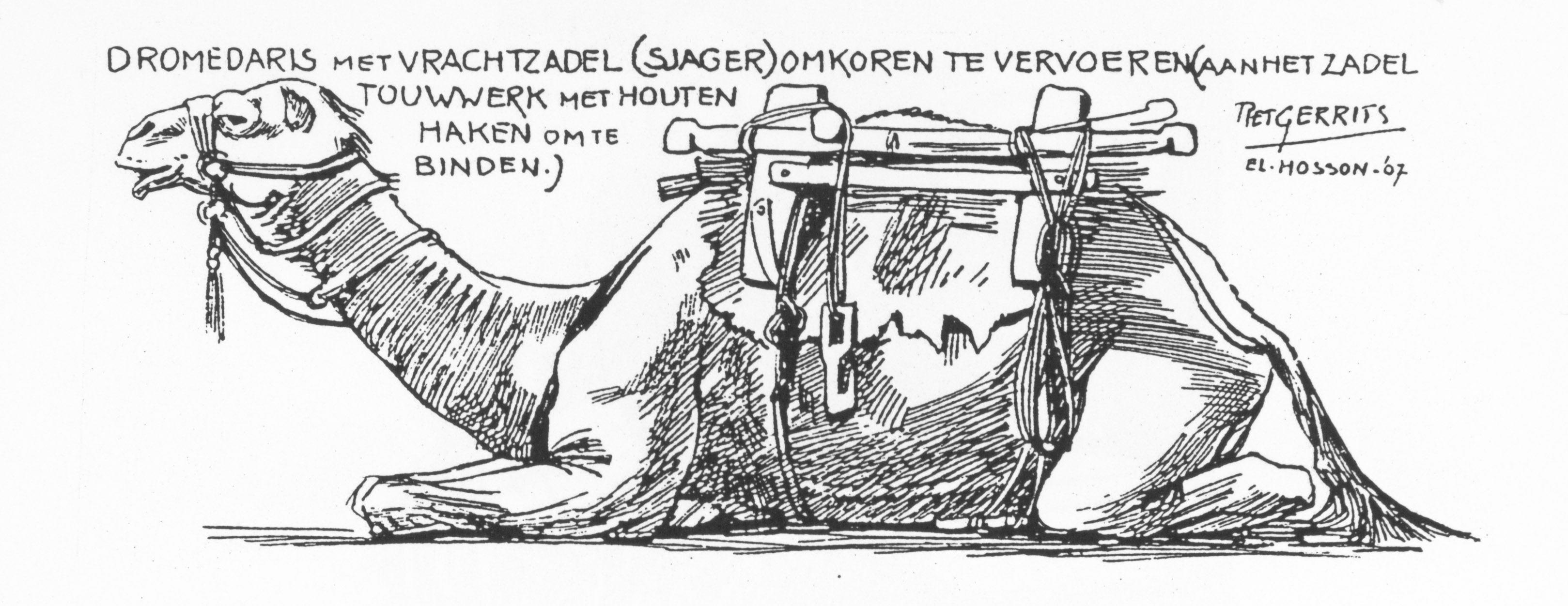 piet1.jpg